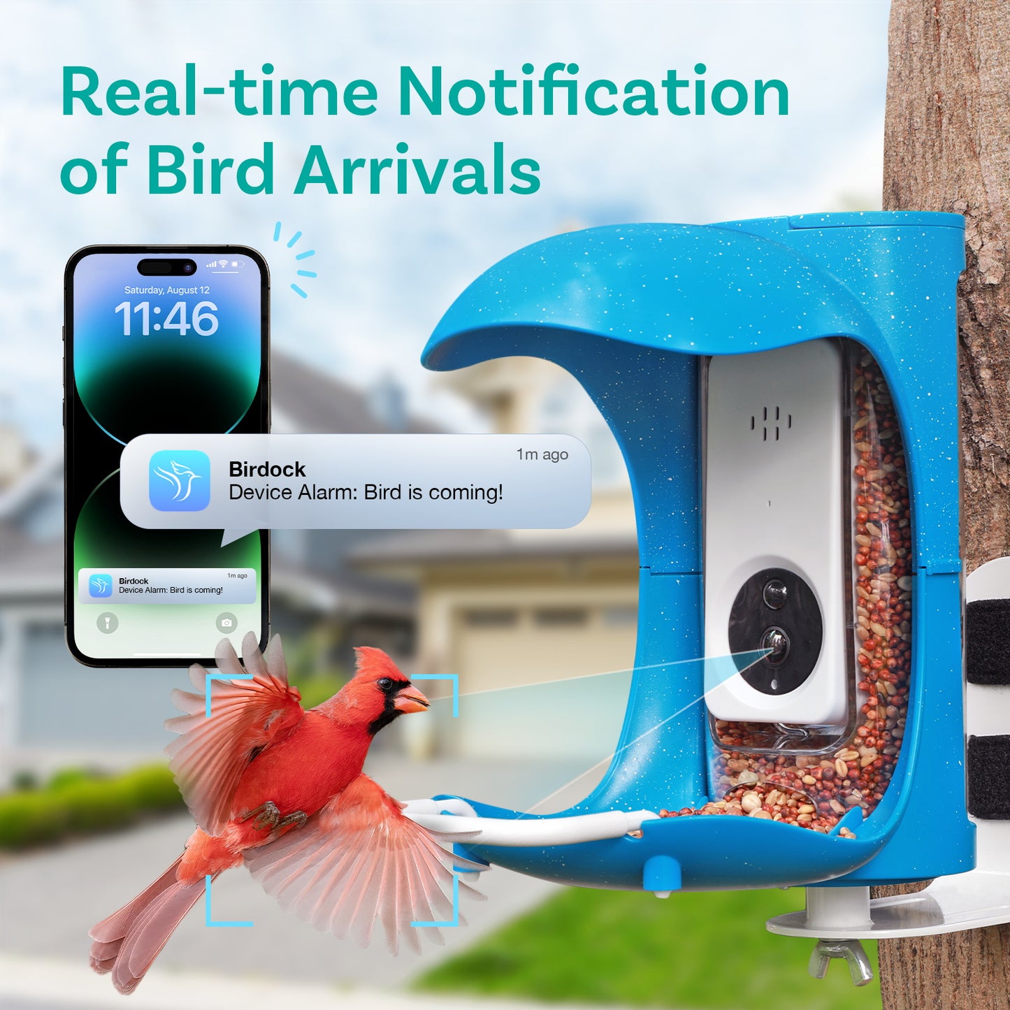Birdock Smart Bird Feeder with Camera WiFi APP Install