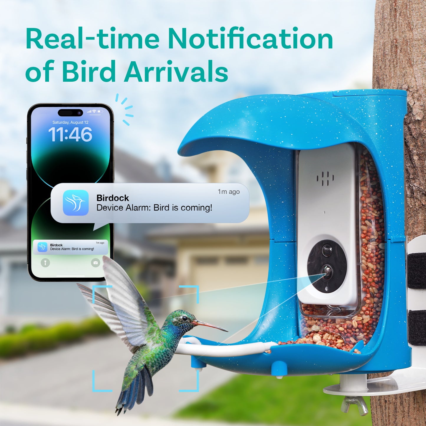 Birdock Smart Bird Feeder with Camera WiFi APP Install