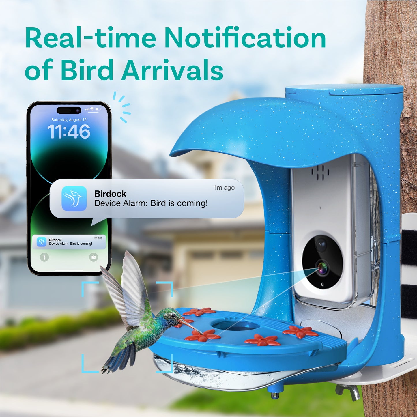 BirDock Hummingbird Feeder With Camera, Smart Bird Feeder For Hummingbird With APP