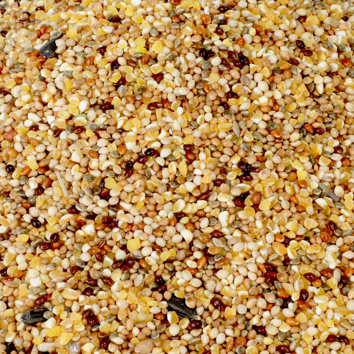 Birdock Basic Blend Wild Bird Food