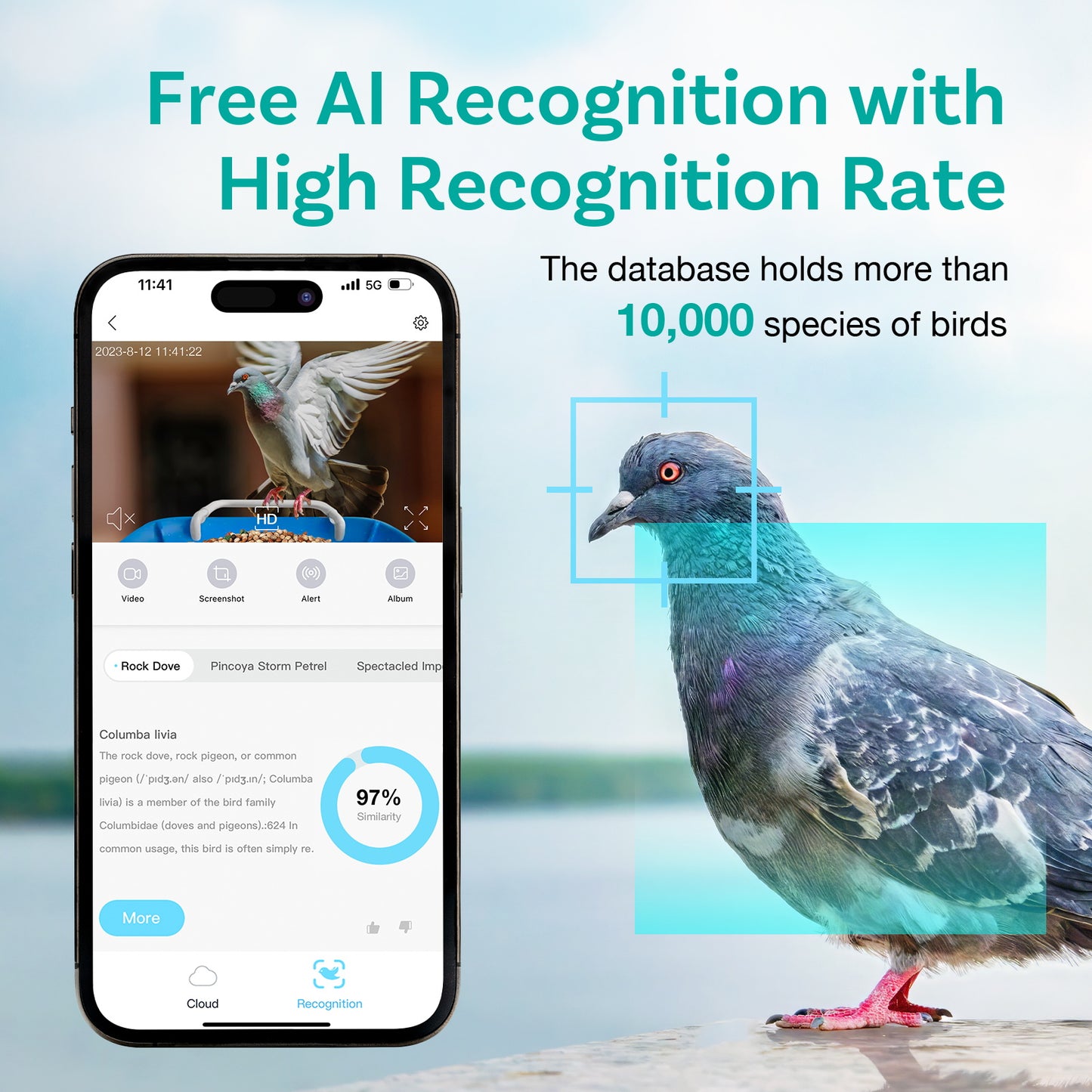 Birdock Smart Bird Feeder with Camera WiFi APP Install