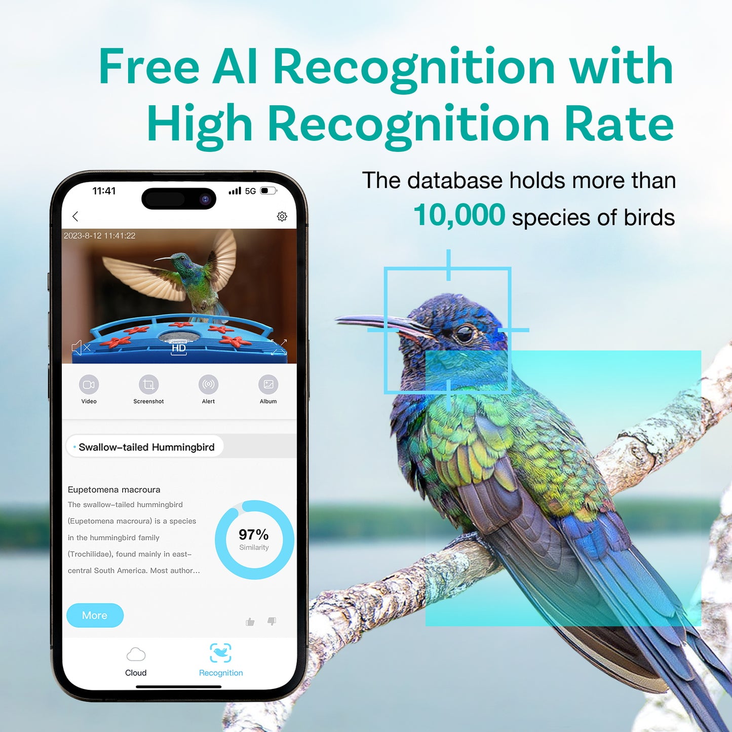 BirDock Hummingbird Feeder With Camera, Smart Bird Feeder For Hummingbird With APP