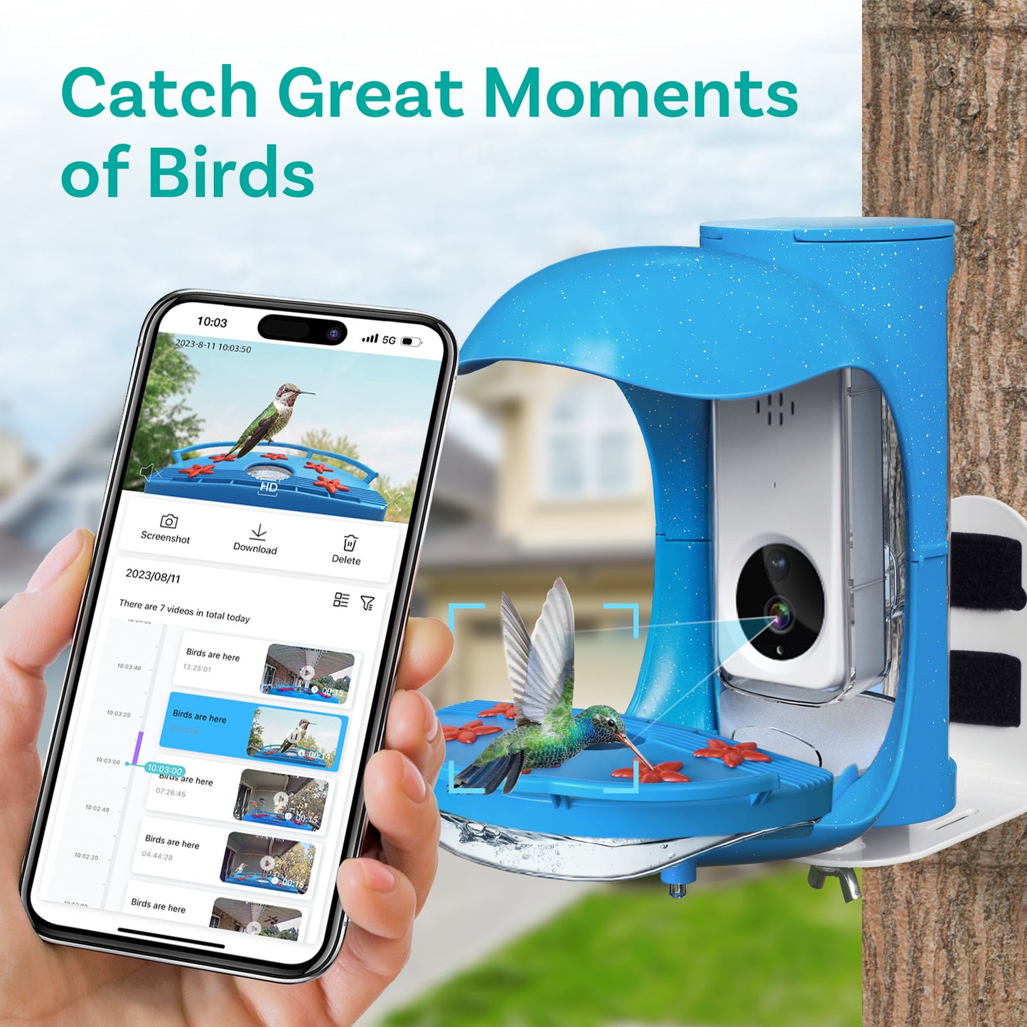 BirDock Hummingbird Feeder With Camera, Smart Bird Feeder For Hummingbird With APP
