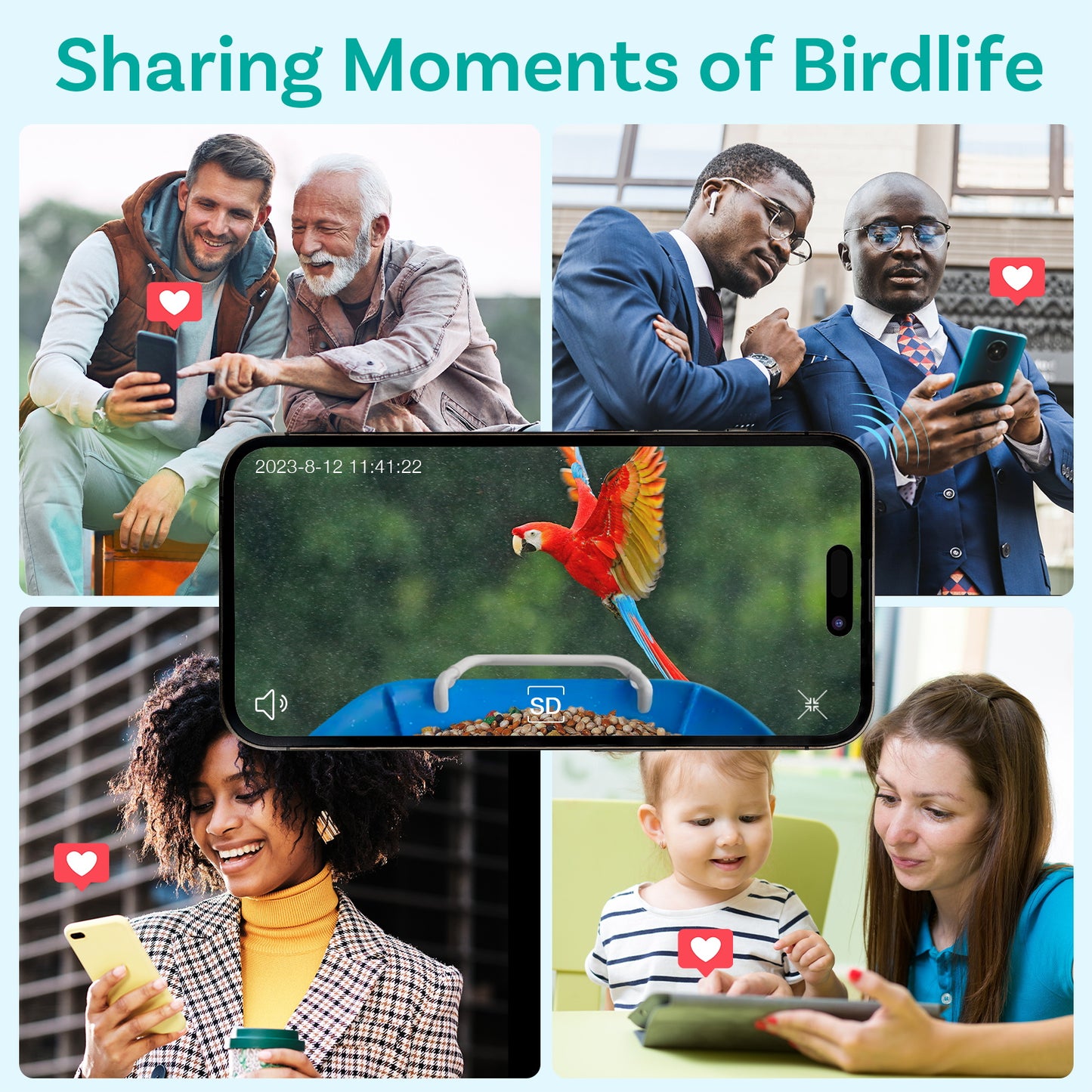 Birdock Smart Bird Feeder with Camera WiFi APP Install