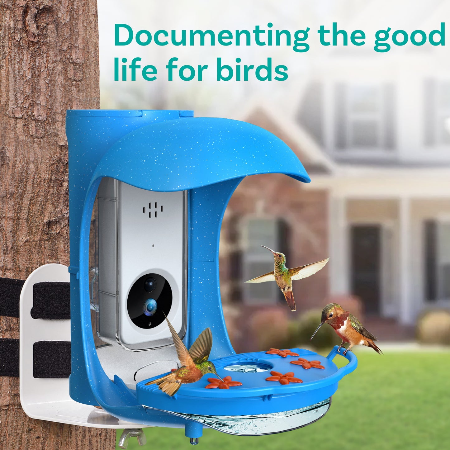 BirDock Hummingbird Feeder With Camera, Smart Bird Feeder For Hummingbird With APP