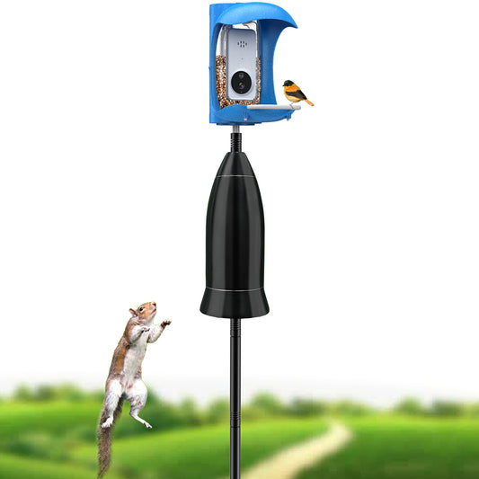 Birdock Anti-squirrel baffle for smart bird feeder pole fit