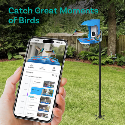 BirDock Hummingbird Feeder With Camera, Smart Bird Feeder For Hummingbird With APP
