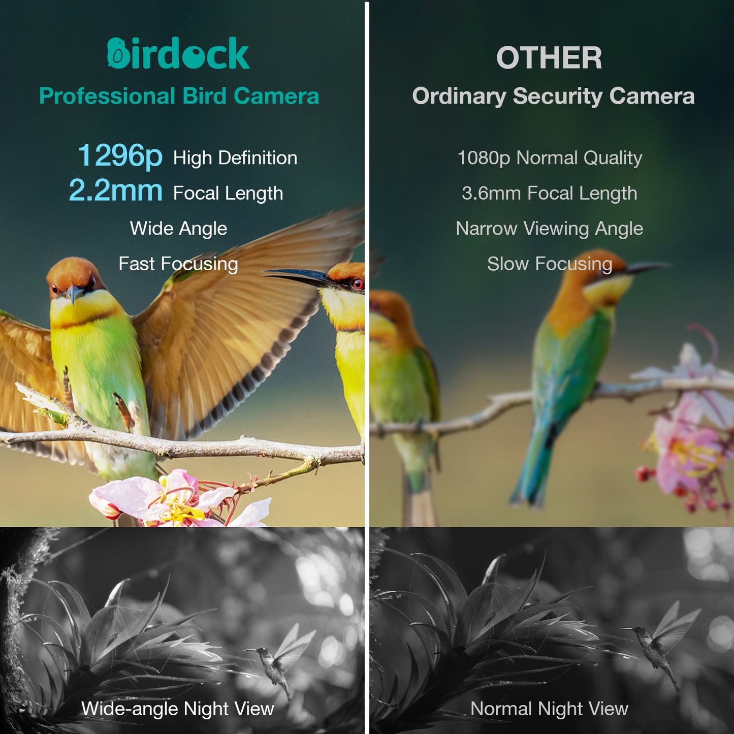 Birdock Smart Bird Feeder with Camera WiFi APP Install
